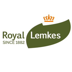 Royal Lemkes